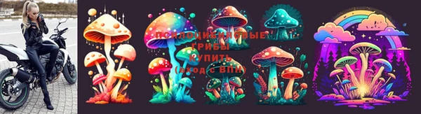 молекула духа Волоколамск