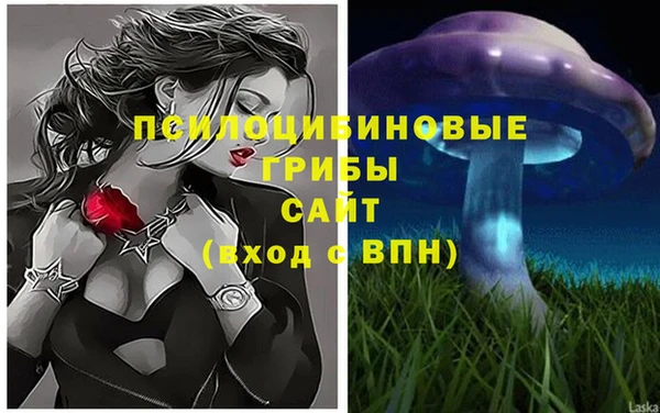 молекула духа Волоколамск