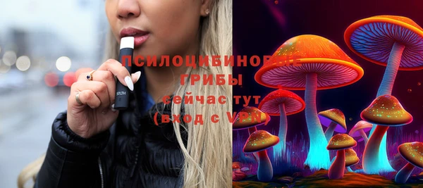 молекула духа Волоколамск