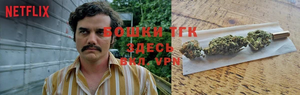 молекула духа Волоколамск