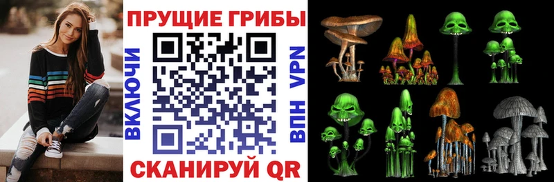 дарнет шоп  Всеволожск  Галлюциногенные грибы MAGIC MUSHROOMS 